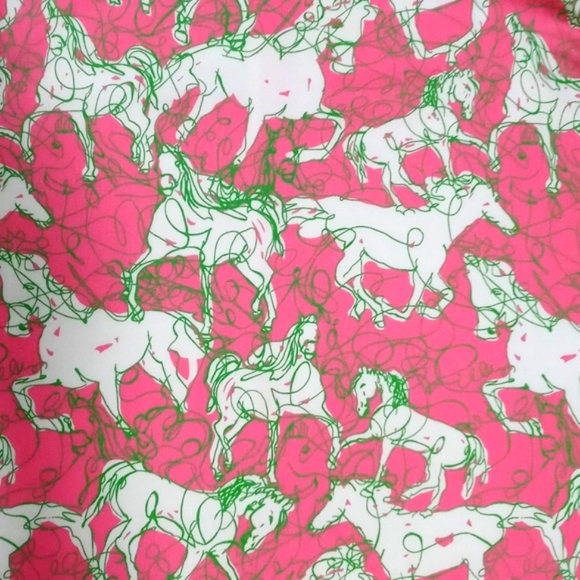 🦄RARE Lilly Pulitzer🦄 - "Hot To Trot" Shift Dress - Picture 5 of 16